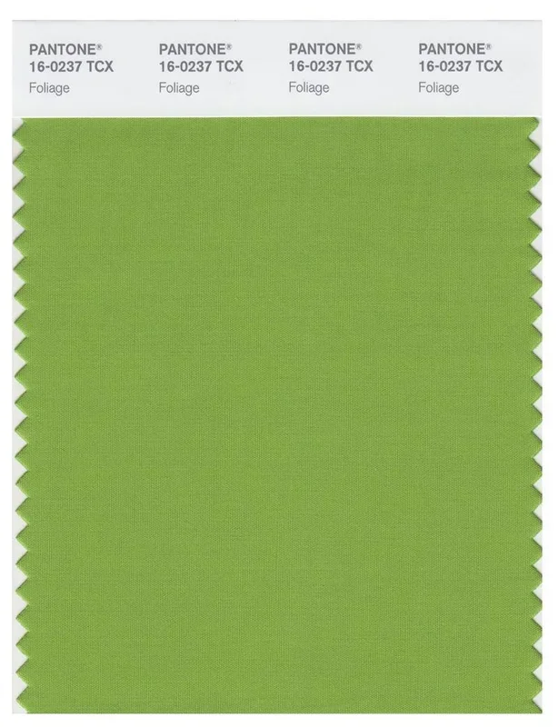 Pantone Smart 16-0237 TCX Color Swatch Card | Foliage