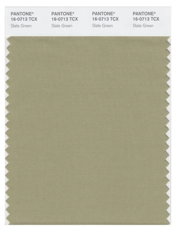 Pantone Smart 16-0713 TCX Color Swatch Card | Slate Green
