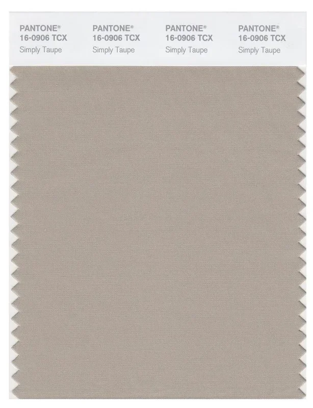 Pantone Smart 16-0906 TCX Color Swatch Card | Simply Taupe