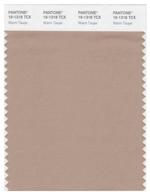 Pantone Smart 16-1318 TCX Color Swatch Card | Warm Taupe