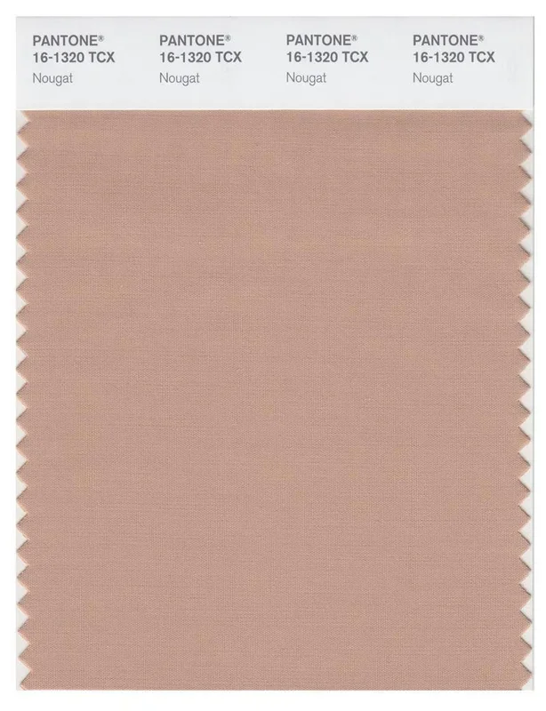 Pantone Smart 16-1320 TCX Color Swatch Card | Nougat