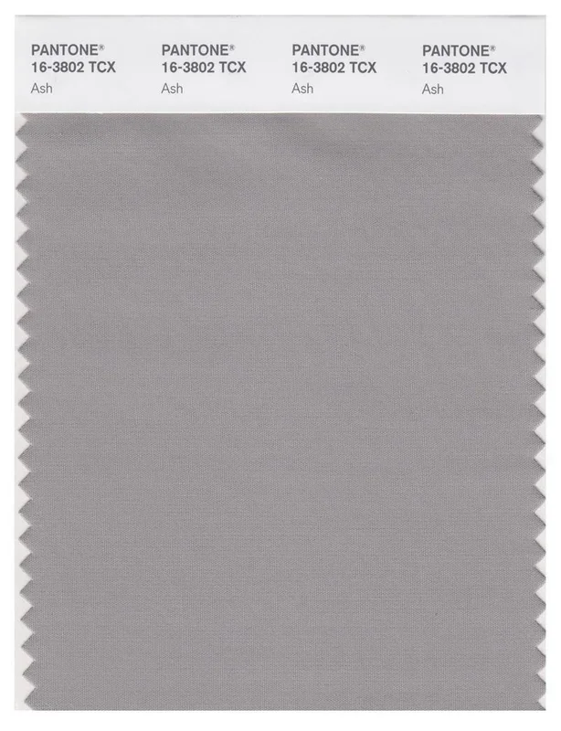 Pantone Smart 16-3802 TCX Color Swatch Card | Ash
