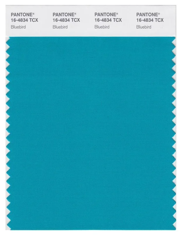 Pantone Smart 16-4834 TCX Color Swatch Card | Bluebird