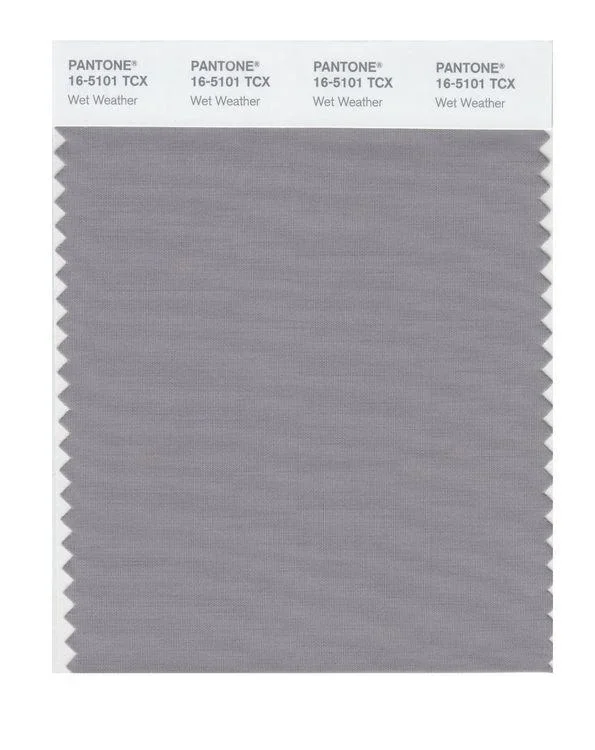 Pantone Smart 16-5101 TCX Color Swatch Card | Wet Weather