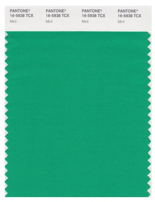 Pantone Smart 16-5938 TCX Color Swatch Card | Mint