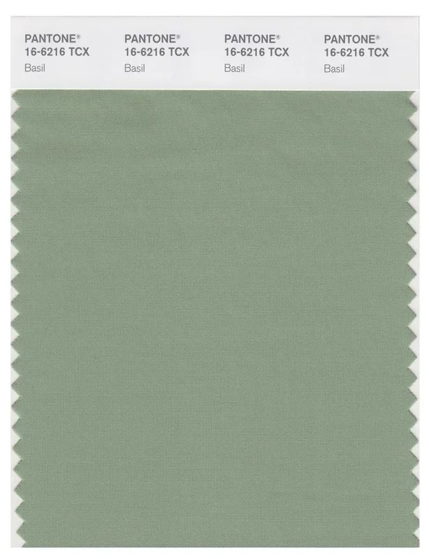 Pantone Smart 16-6216 TCX Color Swatch Card | Basil