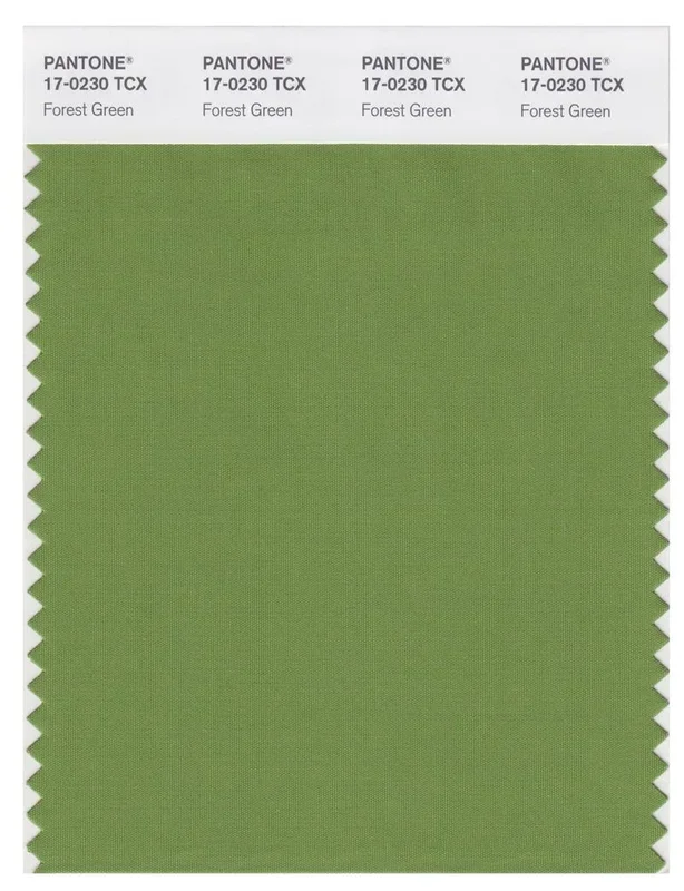 Pantone Smart 17-0230 TCX Color Swatch Card | Forest Green