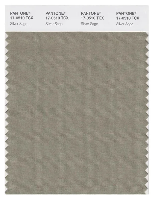 Pantone Smart 17-0510 TCX Color Swatch Card | Silver Sage