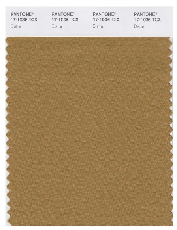 Pantone Smart 17-1036 TCX Color Swatch Card | Bistre