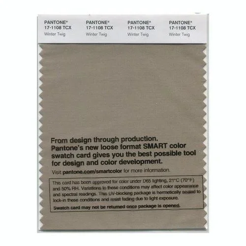 Pantone Smart 17-1108 TCX Color Swatch Card | Winter Twig
