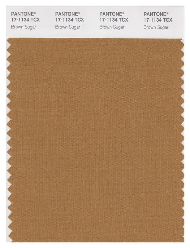 Pantone Smart 17-1134 TCX Color Swatch Card | Brown Sugar