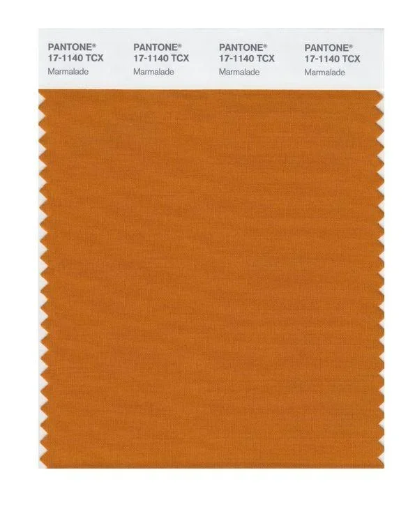 Pantone Smart 17-1140 TCX Color Swatch Card | Marmalade