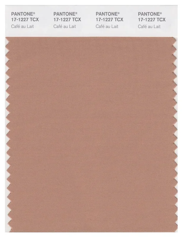 Pantone Smart 17-1227 TCX Color Swatch Card | Cafe?üAuLait
