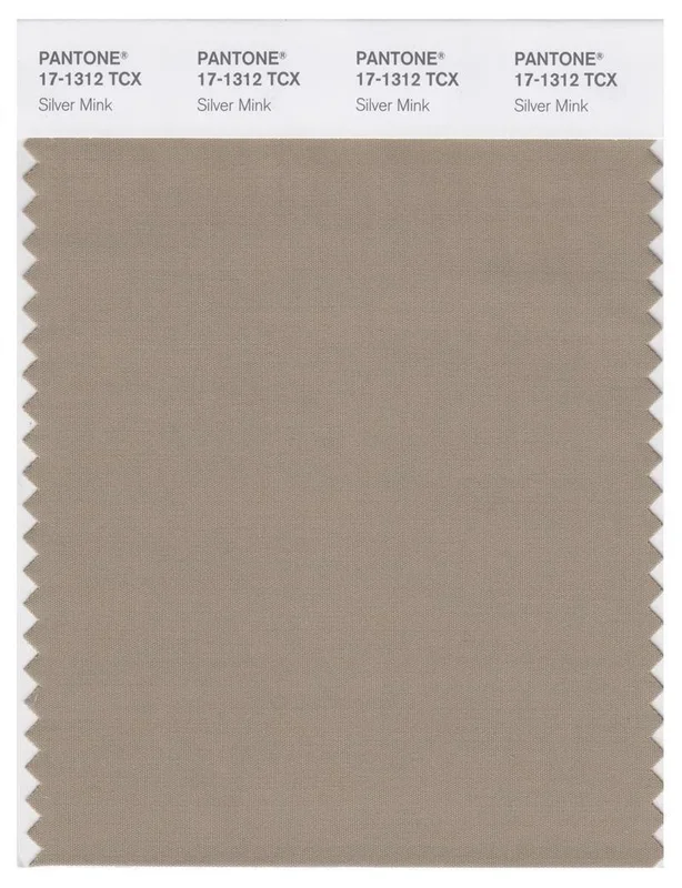Pantone Smart 17-1312 TCX Color Swatch Card | Silver Mink