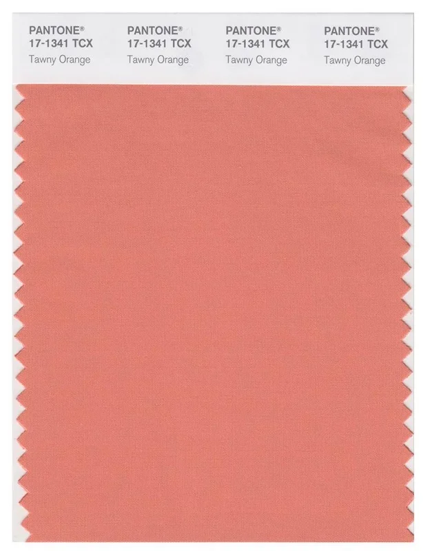 Pantone Smart 17-1341 TCX Color Swatch Card | Tawny Orange