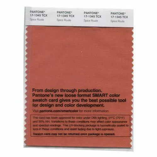 Pantone Smart 17-1345 TCX Color Swatch Card | Spice Route