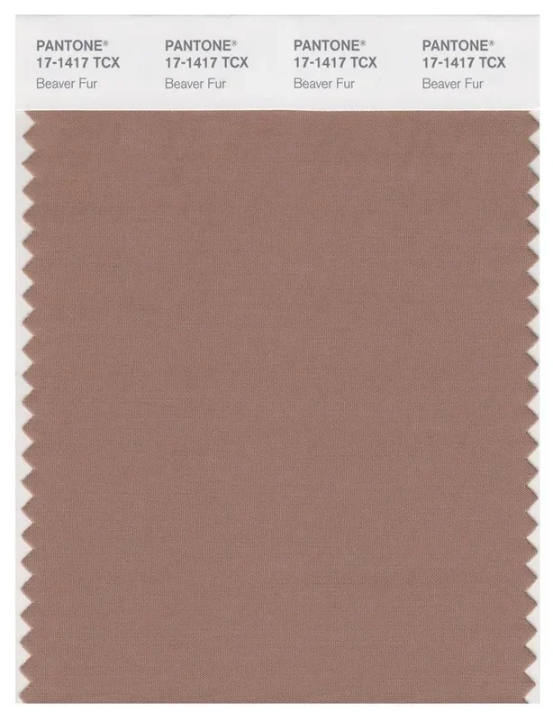 Pantone Smart 17-1417 TCX Color Swatch Card | Beaver Fur