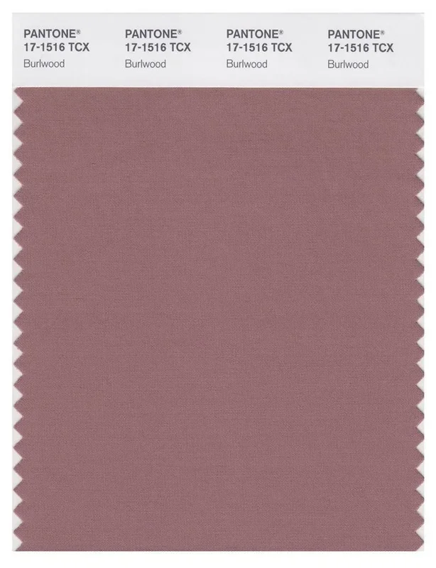 Pantone Smart 17-1516 TCX Color Swatch Card | Burlwood