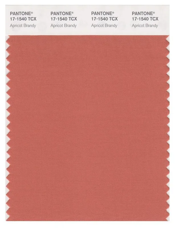 Pantone Smart 17-1540 TCX Swatch Card | Apricot Brandy