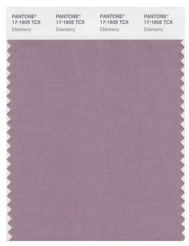 Pantone Smart 17-1605 TCX Color Swatch Card | Elderberry
