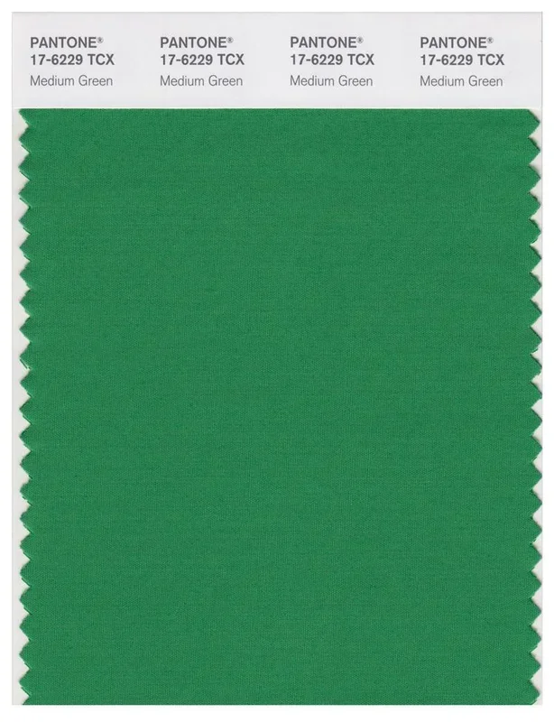 Pantone Smart 17-6229 TCX Color Swatch Card | Medium Green