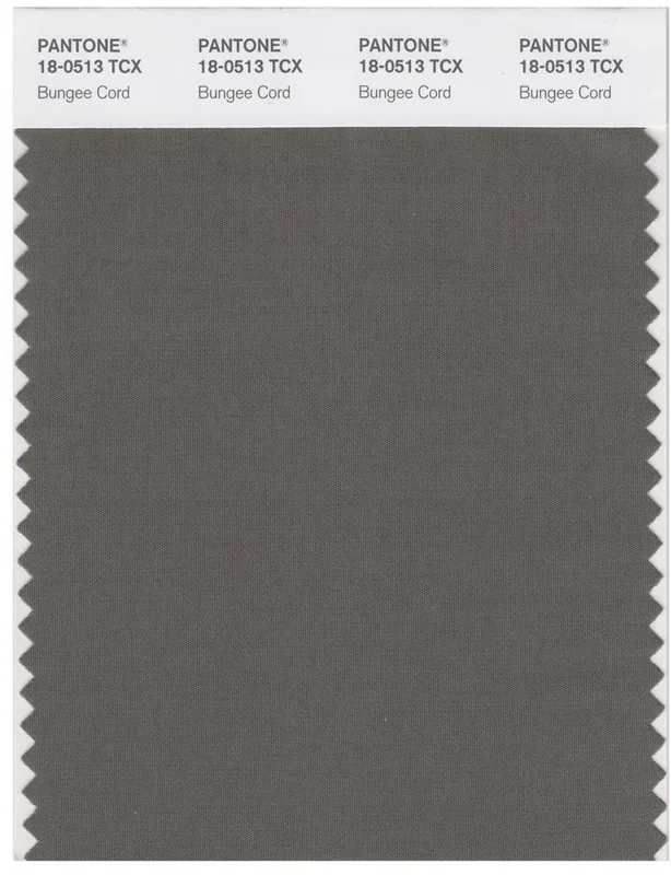 Pantone Smart 18-0513 TCX Color Swatch Card | Bungee Cord