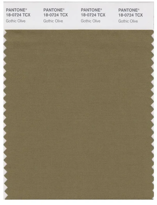 Pantone Smart 18-0724 TCX Color Swatch Card | Gothic Olive