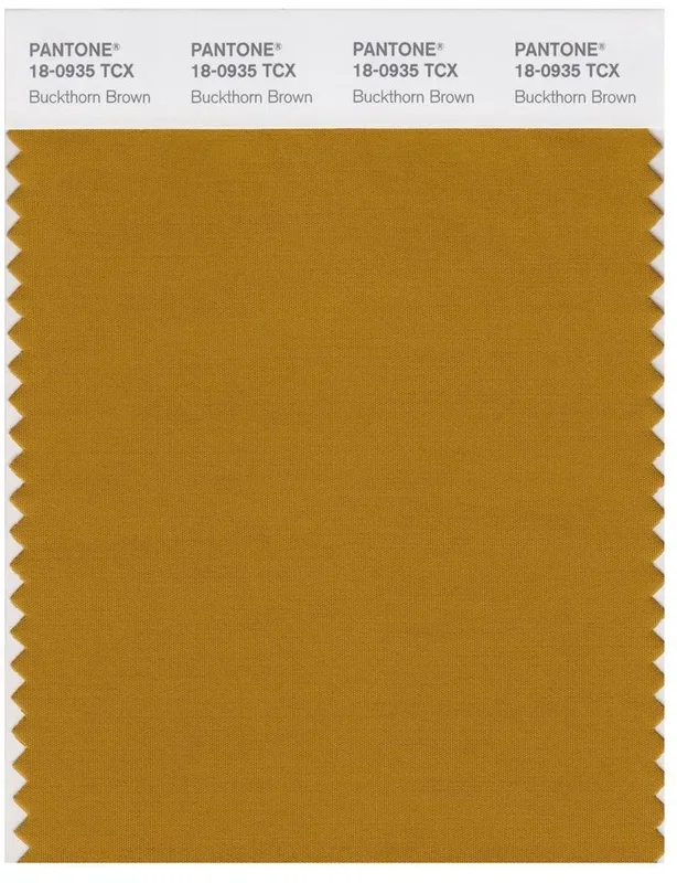 Pantone Smart 18-0935 TCX Color Swatch Card | Buckhorn Brown