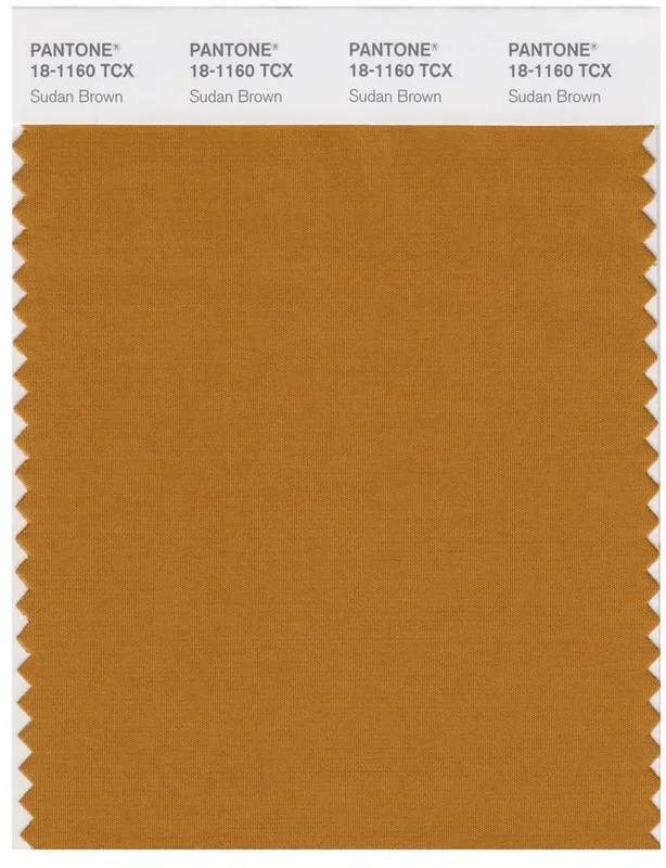 Pantone Smart 18-1160 TCX Color Swatch Card | Sudan Brown