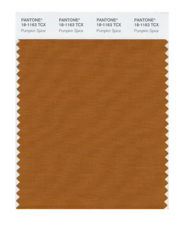 Pantone Smart 18-1163 TCX Color Swatch Card | Pumpkin Spice