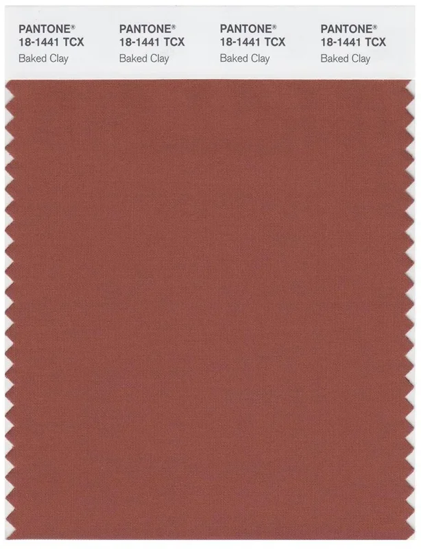 Pantone Smart 18-1441 TCX Color Swatch Card | Baked Clay