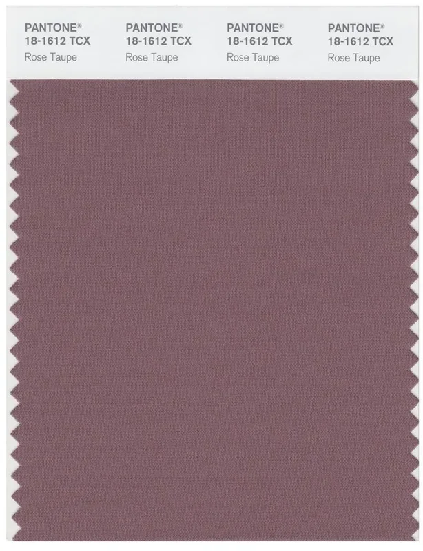 Pantone Smart 18-1612 TCX Color Swatch Card | Rose Taupe