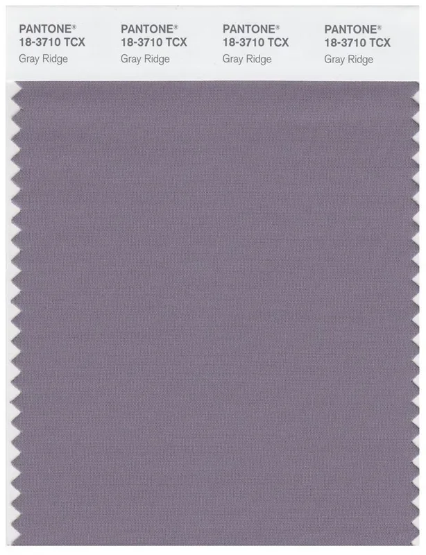 Pantone Smart 18-3710 TCX Color Swatch Card | Gray Ridge