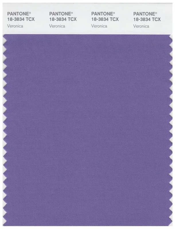 Pantone Smart 18-3834 TCX Color Swatch Card | Veronica