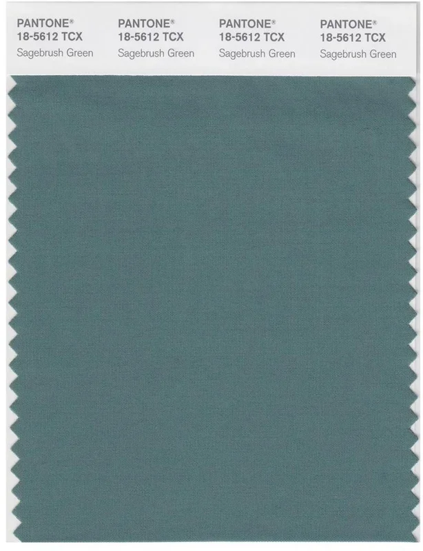 Pantone Smart 18-5612 TCX Color Swatch Card | Sagebrush Green