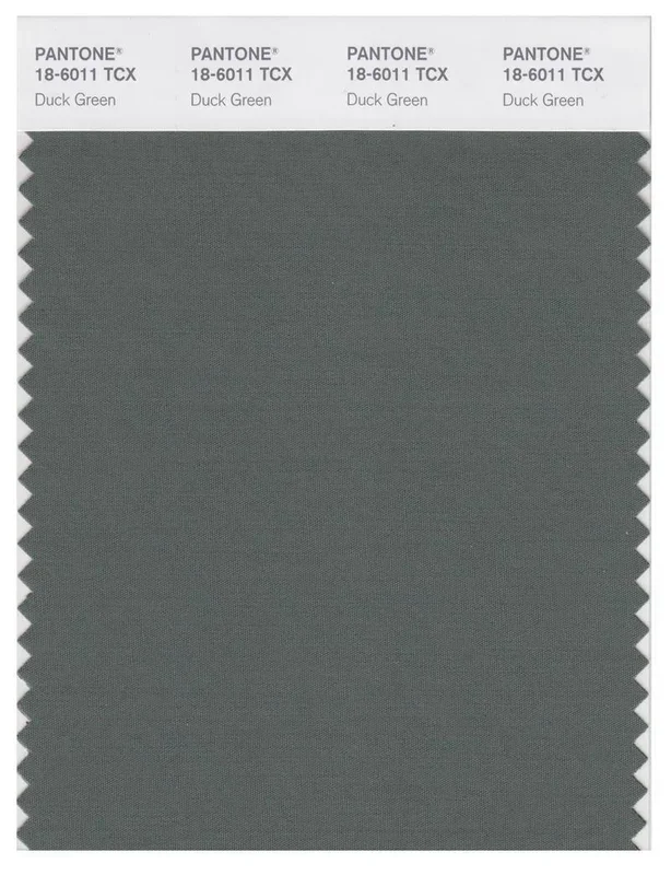 Pantone Smart 18-6011 TCX Color Swatch Card | Duck Green