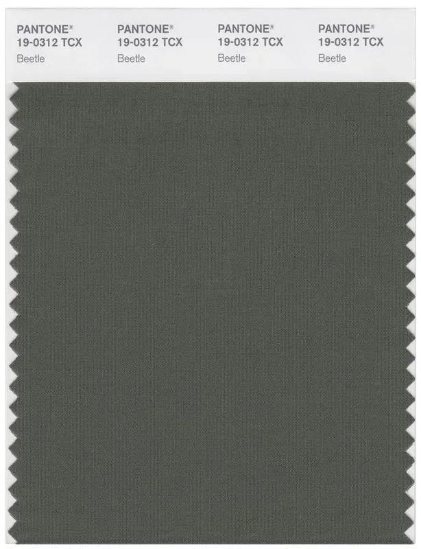 Pantone Smart 19-0312 TCX Color Swatch Card | Beetle