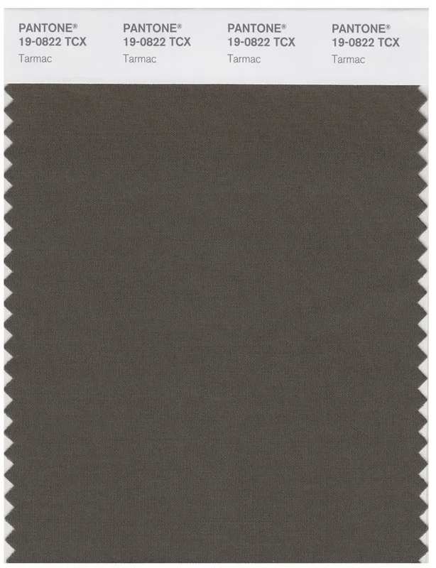 Pantone Smart 19-0822 TCX Color Swatch Card | Tarmac