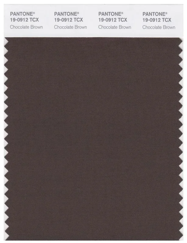 Pantone Smart 19-0912 TCX Color Swatch Card | Chocolate Brown