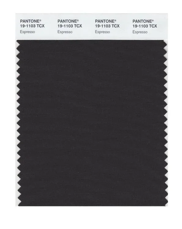 Pantone Smart 19-1103 TCX Color Swatch Card | Espresso