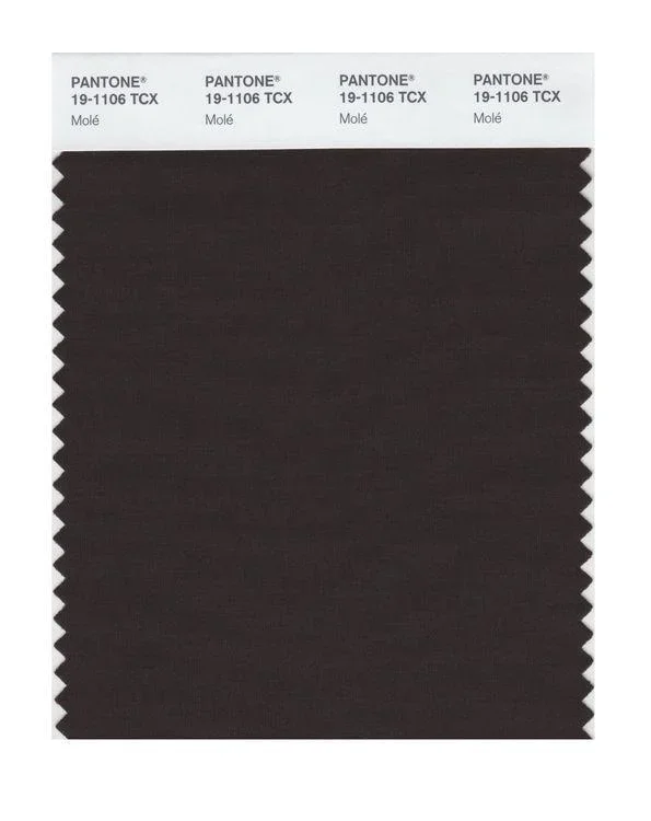Pantone Smart 19-1106 TCX Color Swatch Card | Mole’