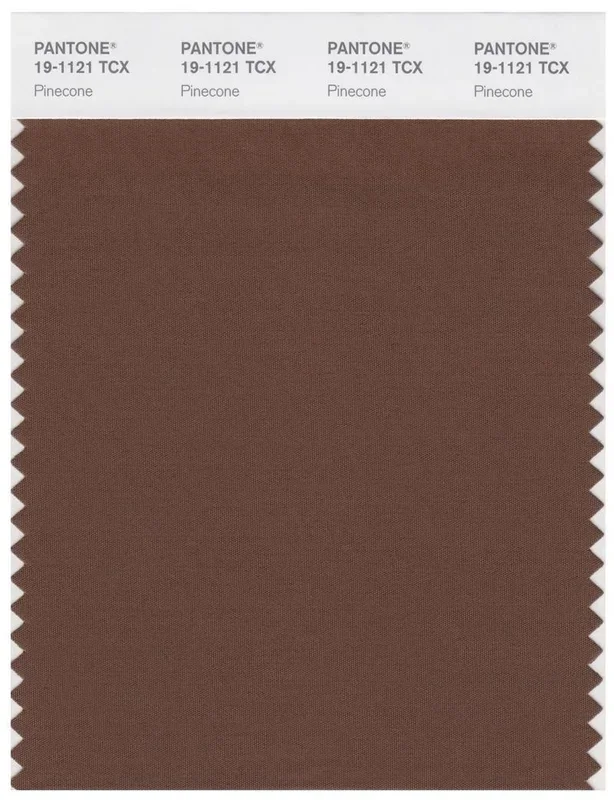 Pantone Smart 19-1121 TCX Color Swatch Card | Pinecone
