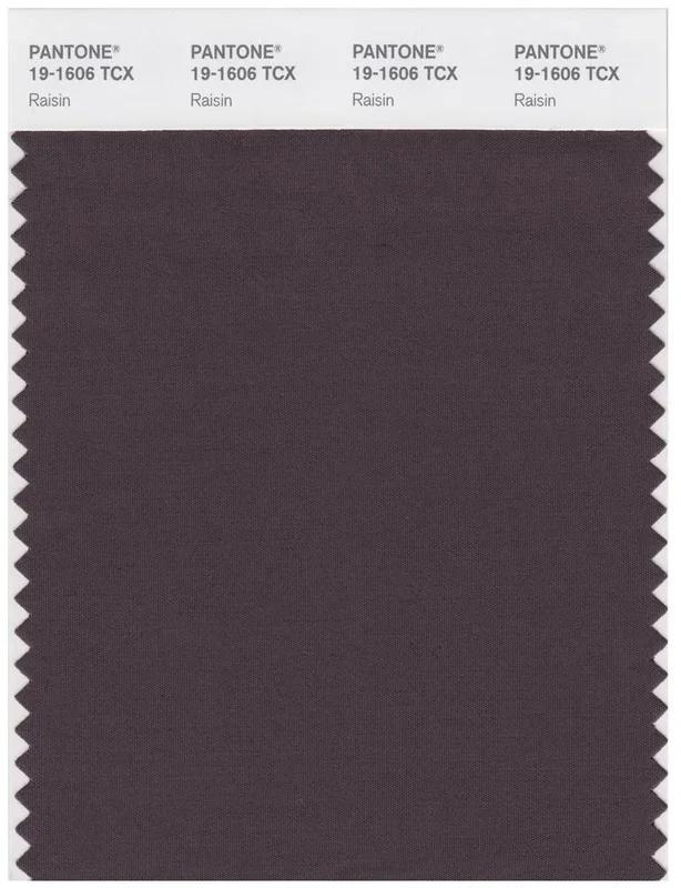 Pantone Smart 19-1606 TCX Color Swatch Card | Raisin