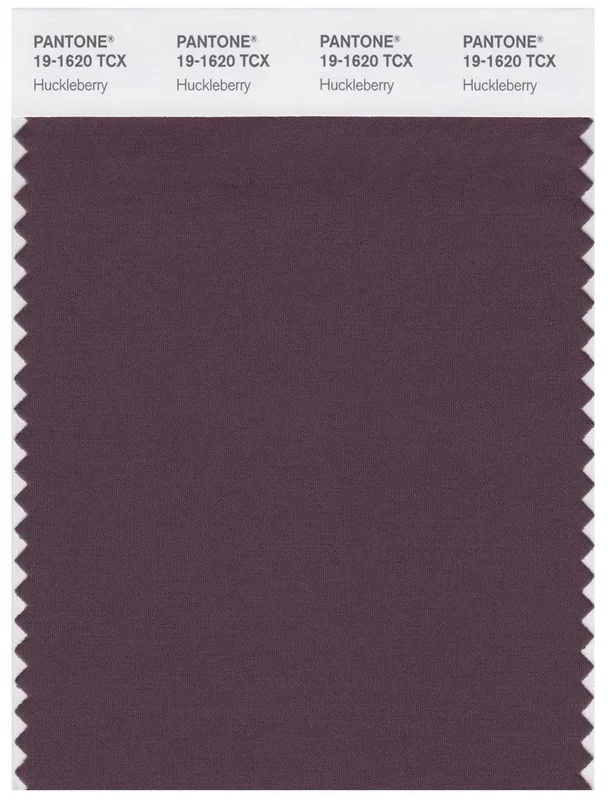 Pantone Smart 19-1620 TCX Color Swatch Card | Huckleberry