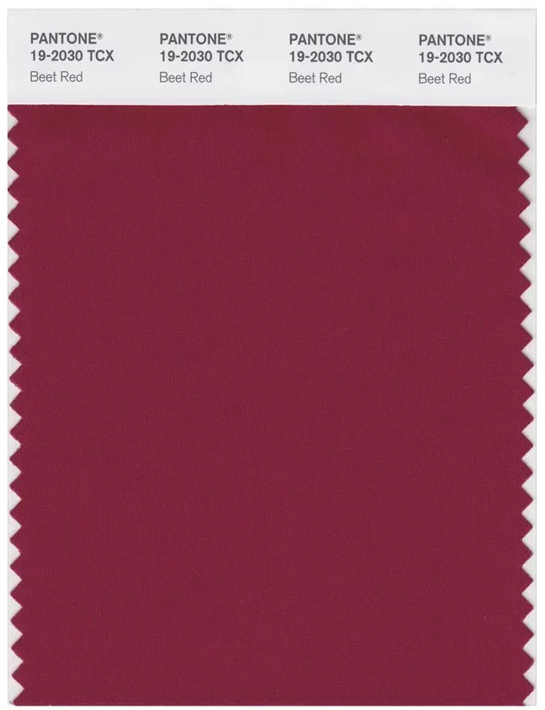 Pantone Smart 19-2030 TCX Color Swatch Card | Beet Red