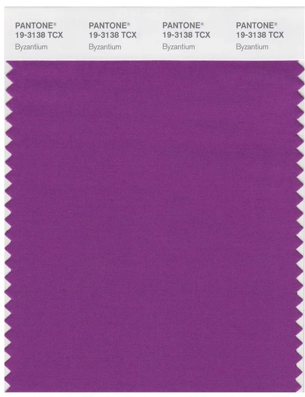Pantone Smart 19-3138 TCX Color Swatch Card | Byzantium