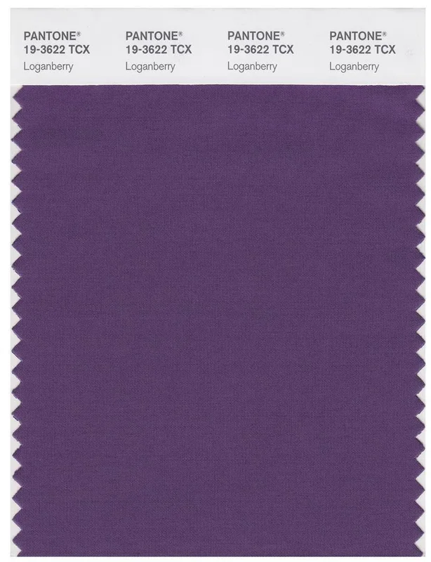Pantone Smart 19-3622 TCX Color Swatch Card | Loganberry