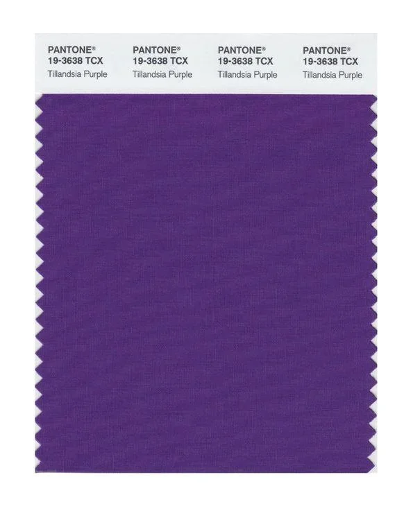 Pantone Smart 19-3638 TCX Color Swatch Card | Tillandsia Purple