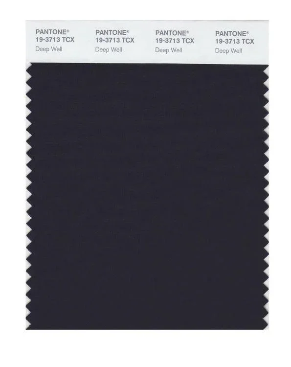 Pantone Smart 19-3713 TCX Color Swatch Card | Deep Well