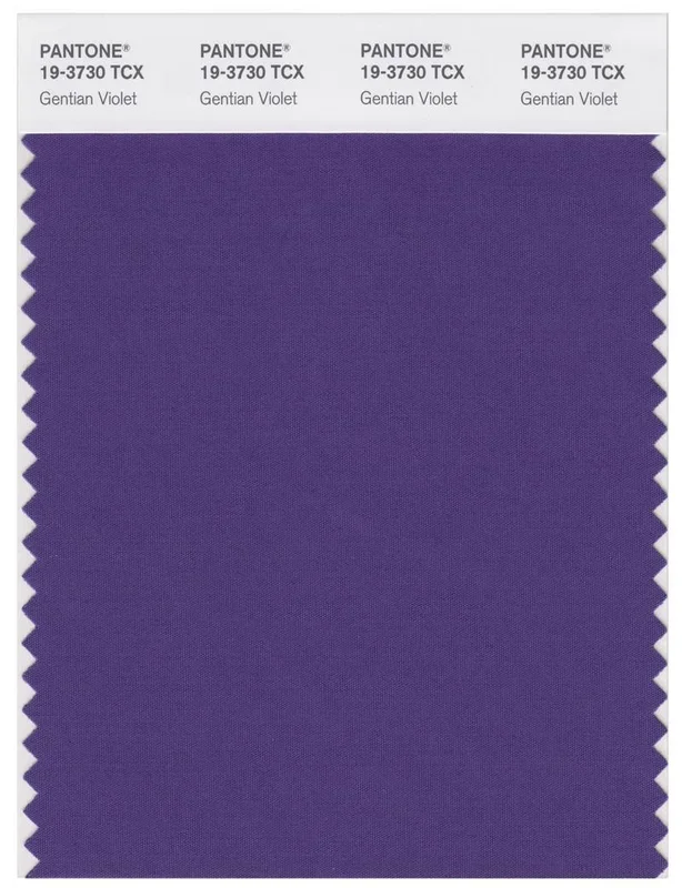 Pantone Smart 19-3730 TCX Color Swatch Card | Gentian Violet